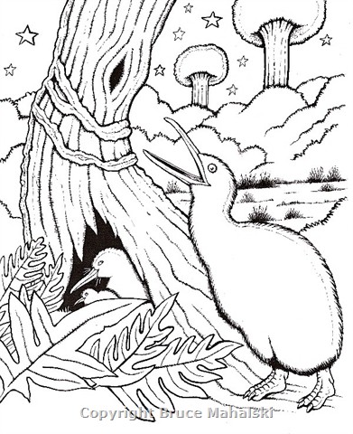 13 -Kiwis- Picture
